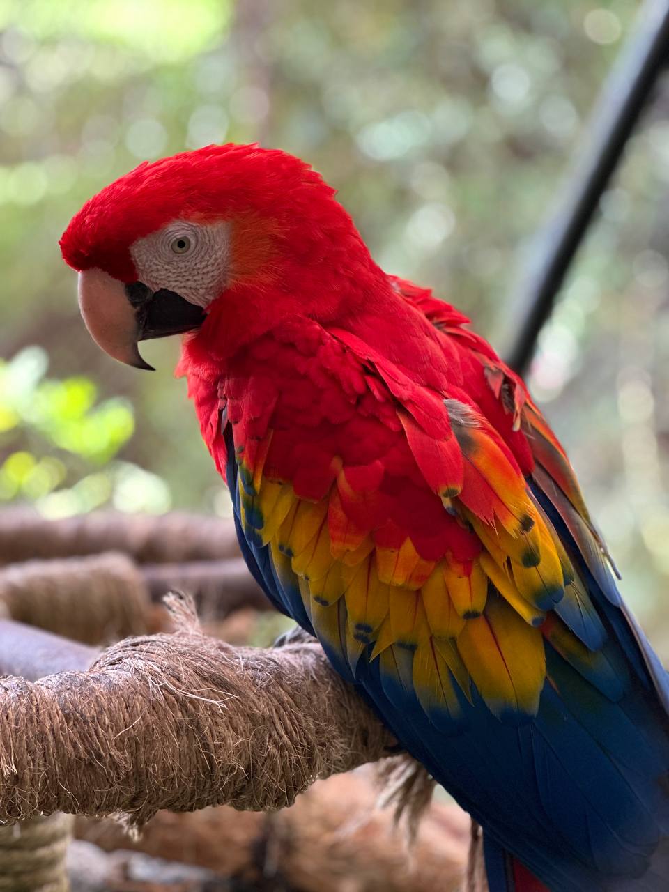 Costa Rica Moments
