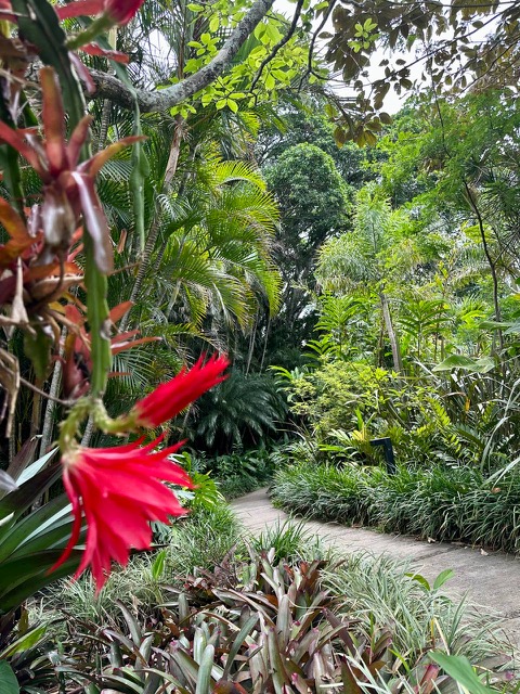 Costa Rica Retreat