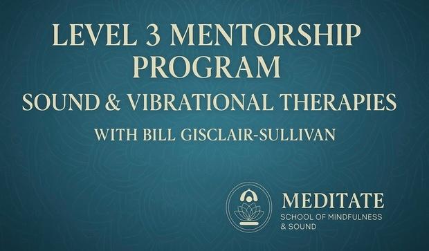 Level 3 Mentorship Program